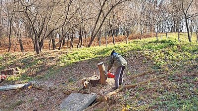 У Луцьку від чагарників та самосівів розчищають береги річки Жидувка