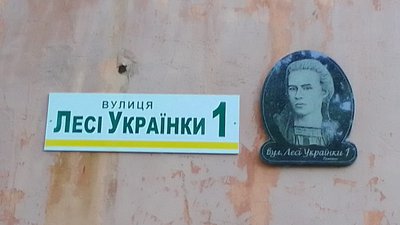 За словами художника, назва вулиці імені Лесі Українки в Іршанську підказала тему створення патріотичних муралів За словами художника, назва вулиці імені Лесі Українки в Іршанську підказала тему створення патріотичних муралів