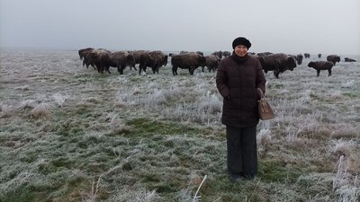 Третя війна "Асканії-Нова": інтерв’ю з ученою секретаркою заповідника Наталією Корінець Третя війна "Асканії-Нова": інтерв’ю з ученою секретаркою заповідника Наталією Корінець