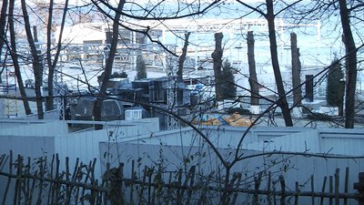 16 дерев незаконно видалили та підрізали на схилах Одеси 16 дерев незаконно видалили та підрізали на схилах Одеси