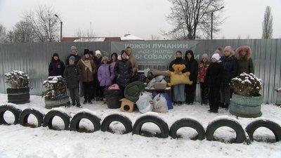 Школярі у Луцьку принесли теплі ковдри і лежаки для псів і котів у КП "Ласка"