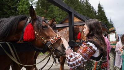 Кінь, гуцулка, Ворохта, кінна станція, Франківщина