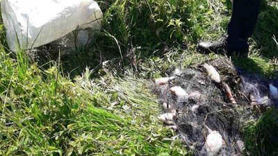 За 105 зловлених рибин браконьєрам з Хмельниччини доведеться сплатити понад 200 тисяч гривень