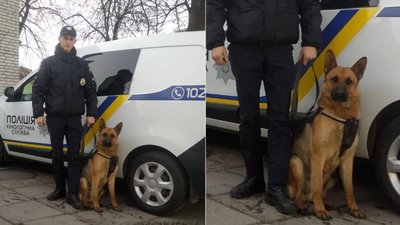 Поліцейська собака Кері розшукала жінку на Львівщині