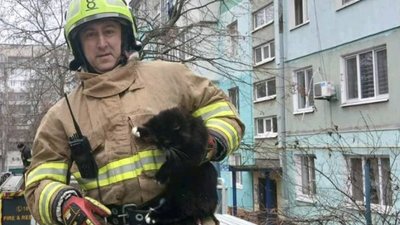 У Запоріжжі врятували кота