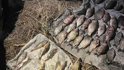 На Тернопільщині незаконно ловили рибу в нерест