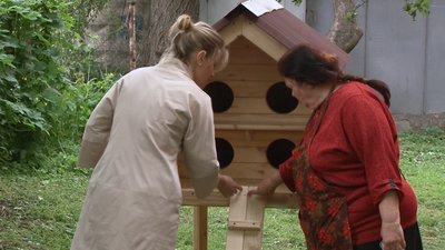 Три котобудиночки встановили у Черкасах Три котобудиночки встановили у Черкасах