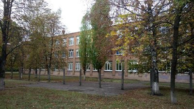У кропивницькій школі проводити уроки надворі заважають кози та собаки