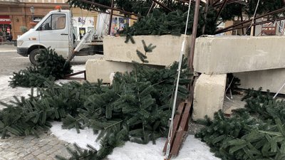 В Ужгороді розбирають головну ялинку міста. Фоторепортаж В Ужгороді розбирають головну ялинку міста. Фоторепортаж
