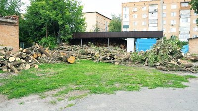 Щодня ріжуть по 57 — 70 кубів: на Вінниччині заготовлюють дрова для освітніх закладів Щодня ріжуть по 57 — 70 кубів: на Вінниччині заготовлюють дрова для освітніх закладів