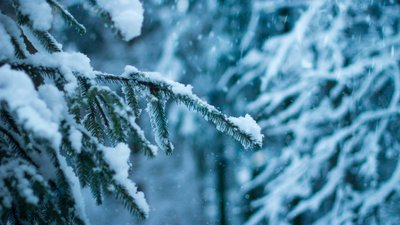 Від дощів до 17°C морозу: синоптики попередили про зміни погодних умов на Закарпатті