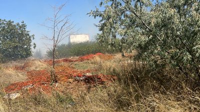 Забруднена земельна ділянка у Білгород-Дністровському районі Одещини