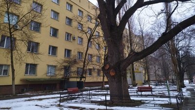 На Миколаївщині ростуть дерева віком понад 120 років На Миколаївщині ростуть дерева віком понад 120 років