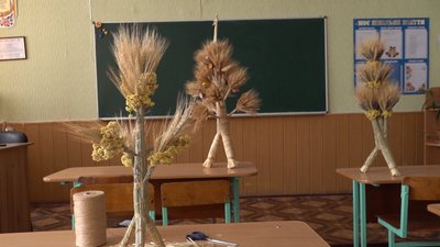 павуки