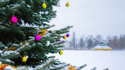 Житомирський військовий інститут влаштував музичне вітання зі святами просто неба