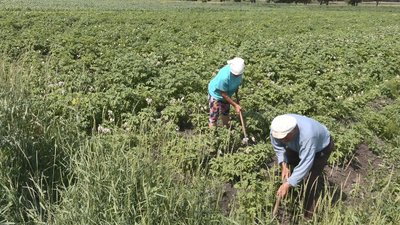 "Ціна ще смішна": назвали попередню вартість черкаських земель "Ціна ще смішна": назвали попередню вартість черкаських земель