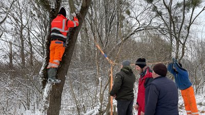 Українці, угорці та румуни прибирали від сміття річку Боржаву на Закарпатті