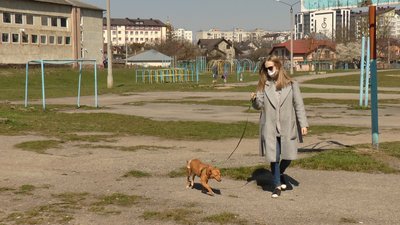 Собака напрокат: чи можливо це під час карантину Собака напрокат: чи можливо це під час карантину