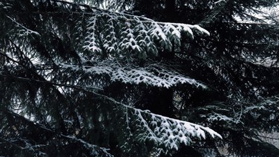 Погода, довкілля, Івано-Франківщина