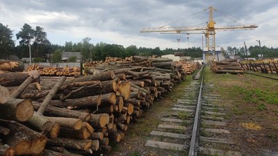 Попит на дрова на Житомирщині зростає, ціна теж Попит на дрова на Житомирщині зростає, ціна теж