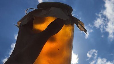 Мед зібраний з пасіки Романа Василика