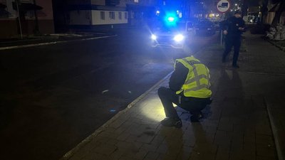 Автомобіль наїхав на собаку: поліція перевіряє факт жорстокого поводження з твариною