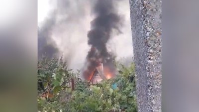 У Галицинівському лісі поблизу Миколаєва внаслідок обстрілу сталася масивна пожежа