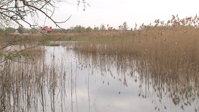 В Коробівку на Черкащині "прийшла" найвища вода за останні 40 років В Коробівку на Черкащині "прийшла" найвища вода за останні 40 років