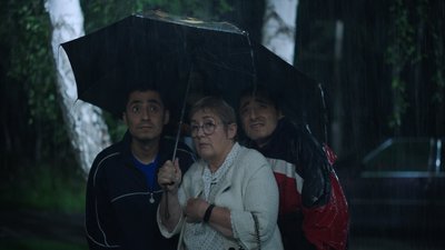 Дві сторони однієї медалі або що робить комедію смішною: про "Люксембург Люксембург" Антоніо Лукіча Дві сторони однієї медалі або що робить комедію смішною: про "Люксембург Люксембург" Антоніо Лукіча
