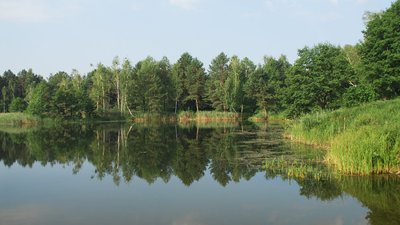 "Голубе озеро" на Хмельниччині — місце зростання рідкісних рослин