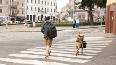 На вулицях Чернівців Бер завжди носить свою сумку На вулицях Чернівців Бер завжди носить свою сумку