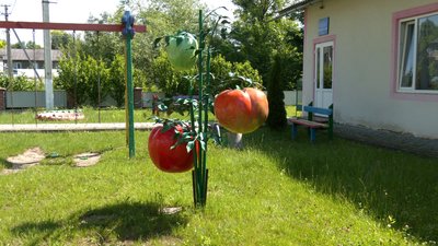 Перші на Прикарпатті помідори та курорт у котловині Дністра. Історія села Городниця Перші на Прикарпатті помідори та курорт у котловині Дністра. Історія села Городниця