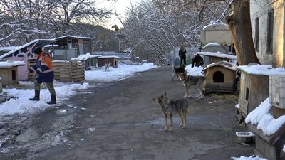 КАТП-1628 в Полтаві КАТП-1628 в Полтаві