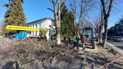 У місті на Волині комунальники розпочали планову обрізку та кронування дерев