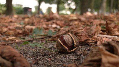 Погода на Франківщині 16 жовтня