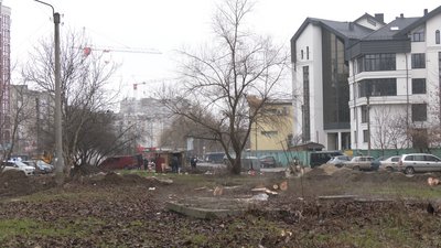 Вирубка дерев чи чистка чагарників. У Франківську жителі та комунальники не можуть дійти згоди