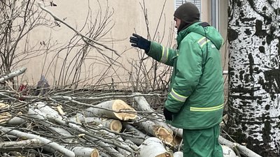 Процес прибирання обрізаних дерев, 14 грудня 2023 року Процес прибирання обрізаних дерев, 14 грудня 2023 року