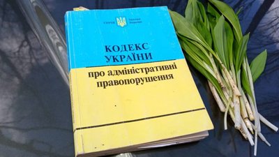 На Сумщині знищували червонокнижні рослини задля "профілактики коронавірусу"