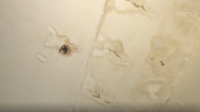 Протікає дах: мешканці гуртожитку в Ужгороді написали шість заяв до міськради Протікає дах: мешканці гуртожитку в Ужгороді написали шість заяв до міськради