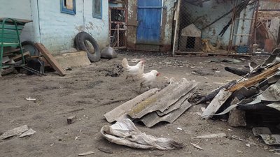 "Мешканець Конотопщини показав розорене російськими військовими господарство "Мешканець Конотопщини показав розорене російськими військовими господарство