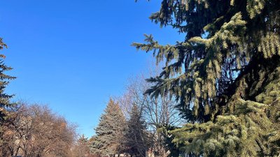Прогноз погоди
