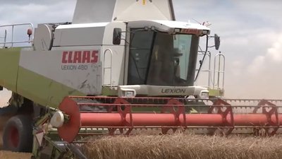 На Прикарпатті зібрали понад 453 тисячі тонн зернових