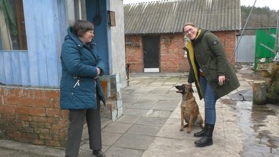 Собака у Сумах врятував життя господарки, що впала у погріб Собака у Сумах врятував життя господарки, що впала у погріб