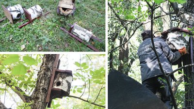У Вінниці встановили будиночки для кажанів