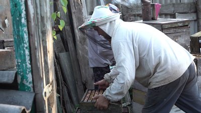 З бойовими бджолами ховався від куль і ракет З бойовими бджолами ховався від куль і ракет