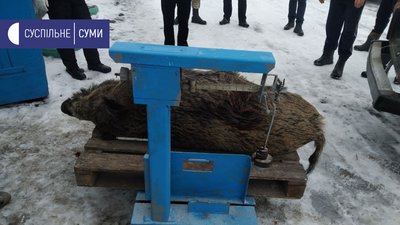 На Сумщині підозрюваного у браконьєрстві призначили єгерем На Сумщині підозрюваного у браконьєрстві призначили єгерем