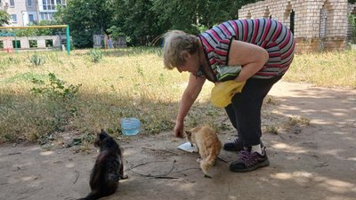Розрахований на 12 тварин. У Миколаєві волонтери встановили будиночок для безпритульних котів Розрахований на 12 тварин. У Миколаєві волонтери встановили будиночок для безпритульних котів