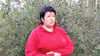 На Житомирщині почався грибний сезон На Житомирщині почався грибний сезон