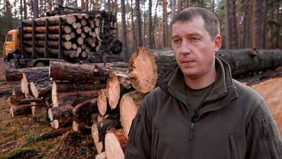 Безплатні дрова для людей: на 188 ділянках Чернігівщини люди можуть заготовити собі дрова