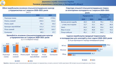 зростає процент жирів у маслі зростає процент жирів у маслі